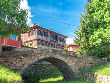 kopr2 Копривщица