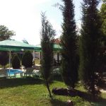 img-1469db5382b548feae9edf664df1afec-v